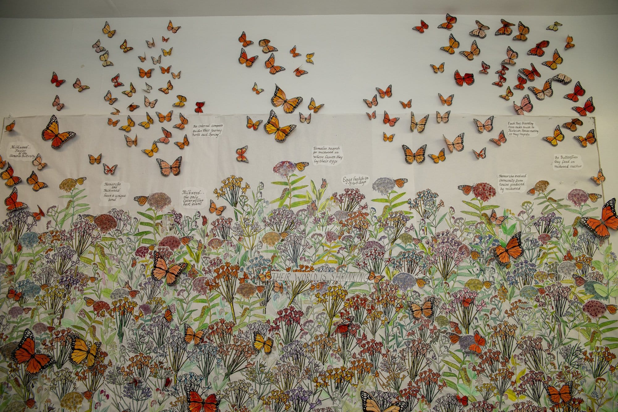 Student-made butterfly art installation rising over a painted meadow at The Hudson School