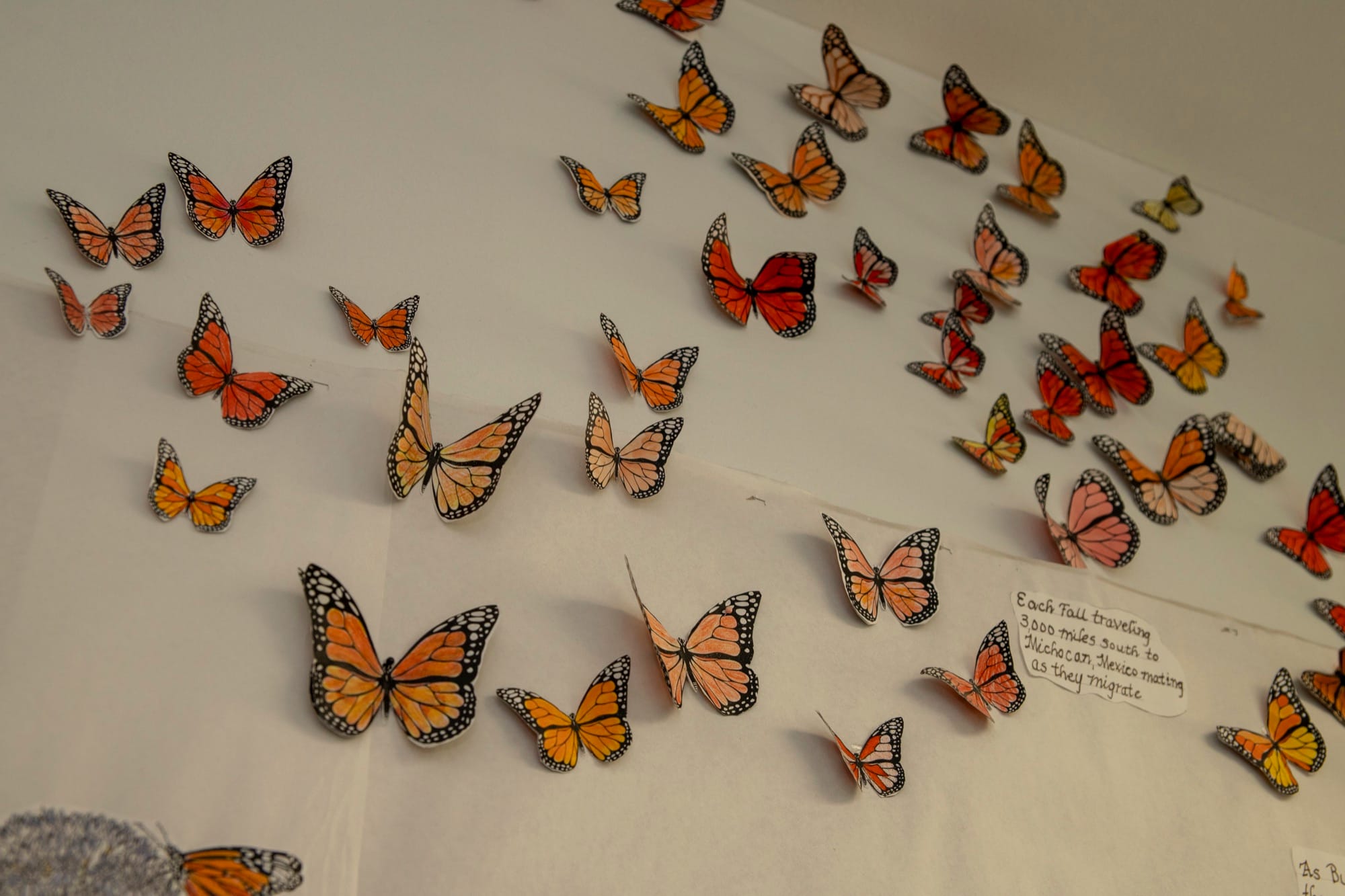 Colorful butterfly artwork created by students covering an interior wall